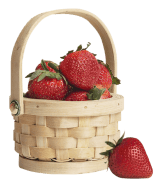 basket